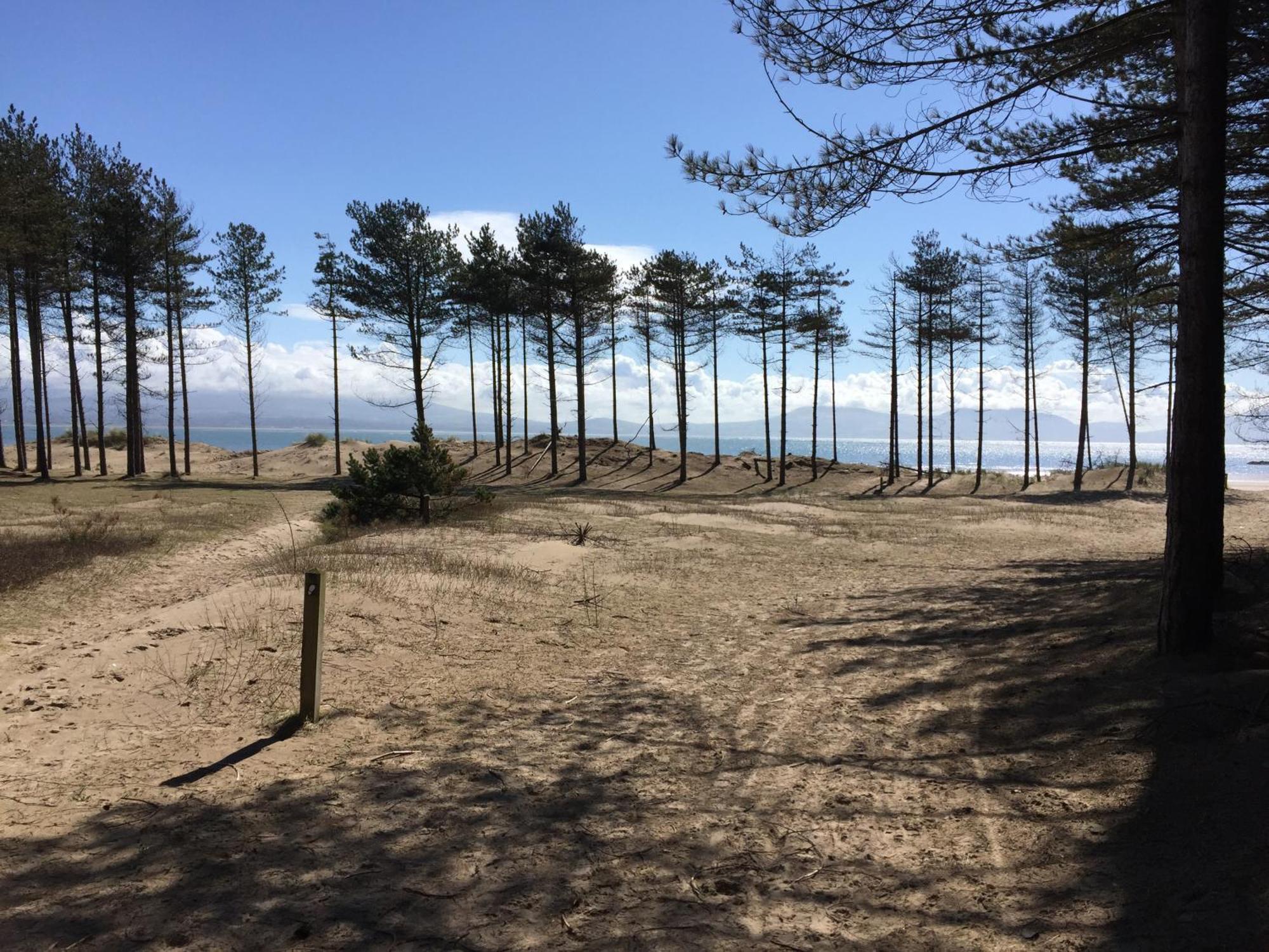 Llanw Malltraeth - Malltraeth Tides Llangadwaladr  Zewnętrze zdjęcie